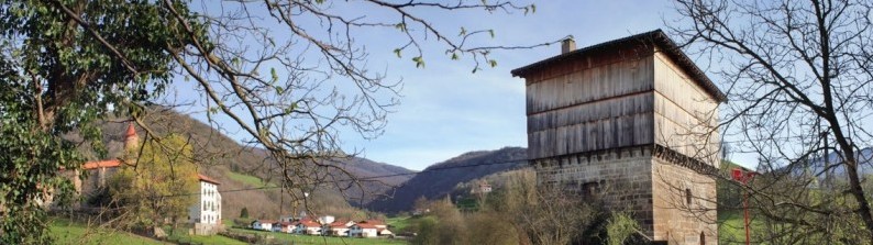 JAUREGIA es la Torre Medieval mejor conservada del norte de Navarra