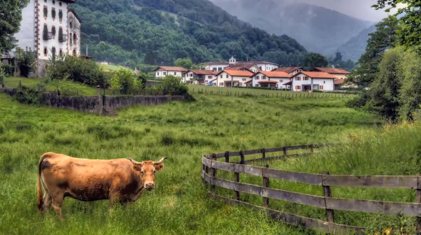 DONAMARIA es enorme en extensión y minúsculo en población. Un rosario de casas agrupadas en cuatro Barrios o Auzoak. Un pueblo antiguo contenedor de tradiciones, y, a la vez, uno de los municipios más nuevos de Navarra. Un conjunto de peculiaridades que te invita a venir y a volver; un remanso de paz con un mundo rural vivo alimentado por los que aquí hacemos nuestra vida en Casa Rural Utxunea