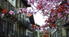 Rincón de Lesaka junto a Casa Rural Utxunea